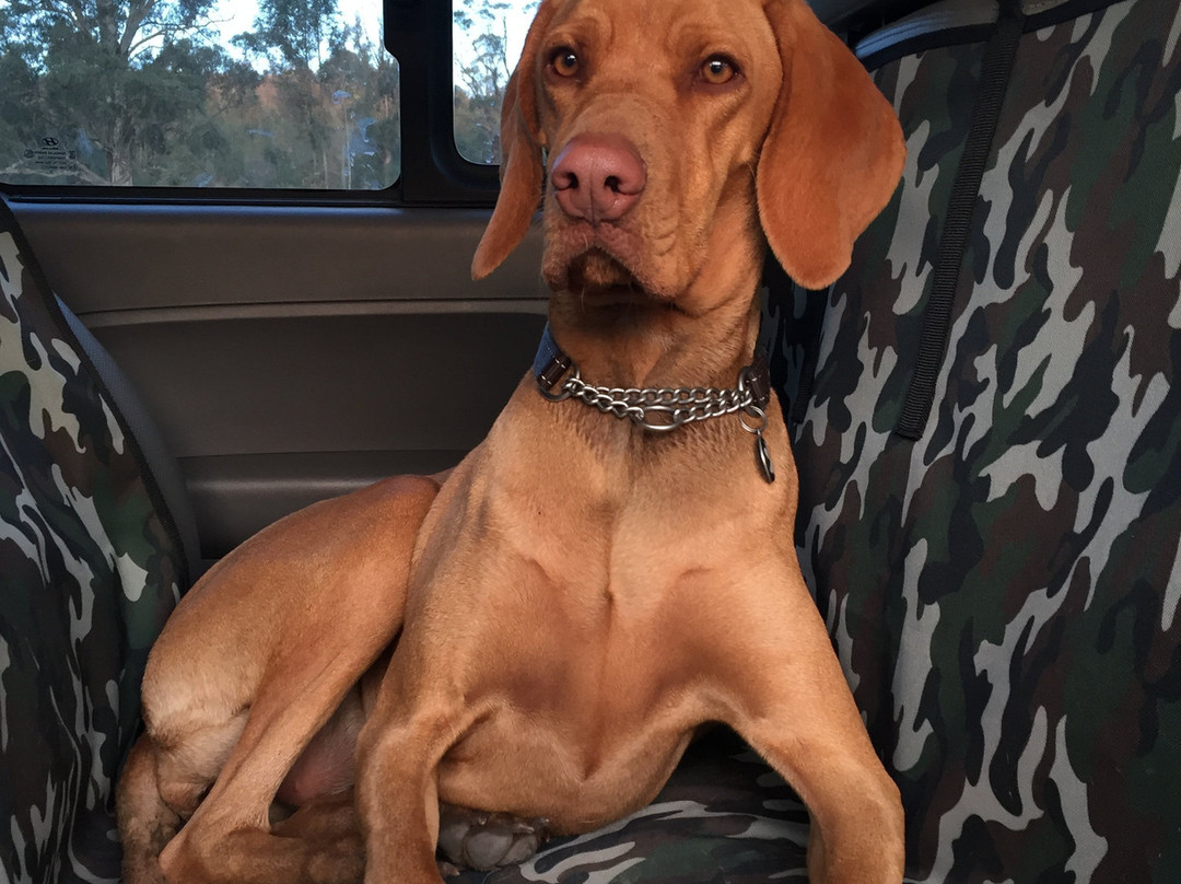 Sterkfontein Dam Nature Reserve-哈利史密斯必去景点