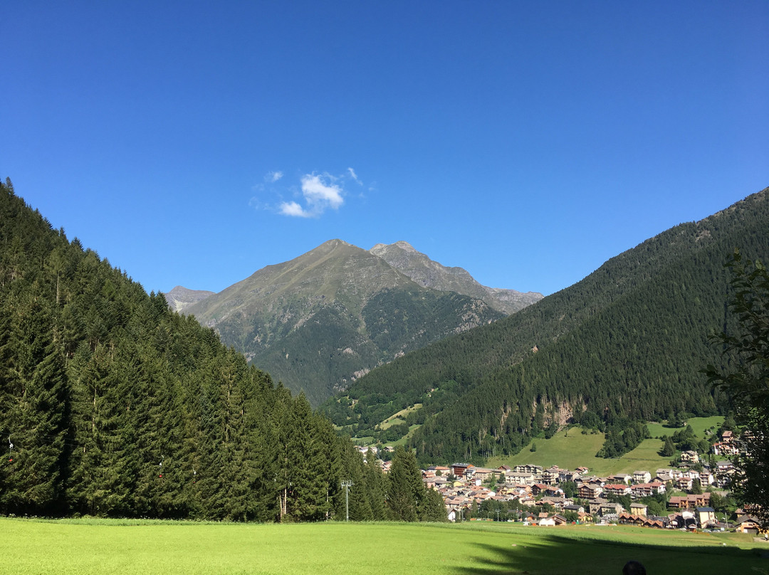Vilminore di Scalve酒店住宿-Albergo Brescia