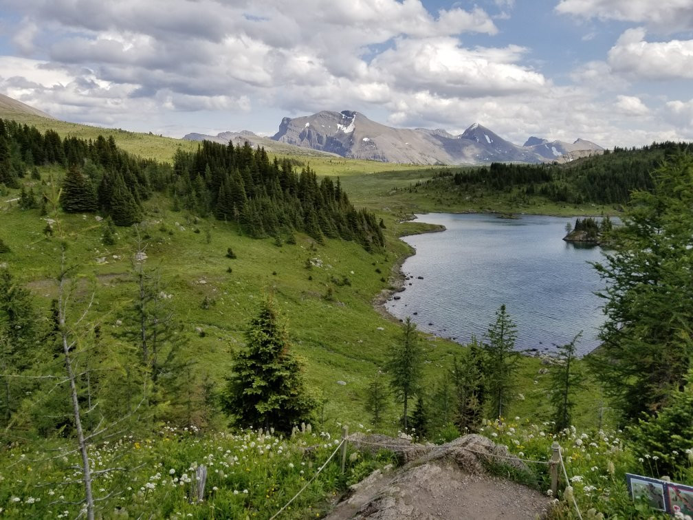 Banff Sunshine Meadows-班夫必去景点