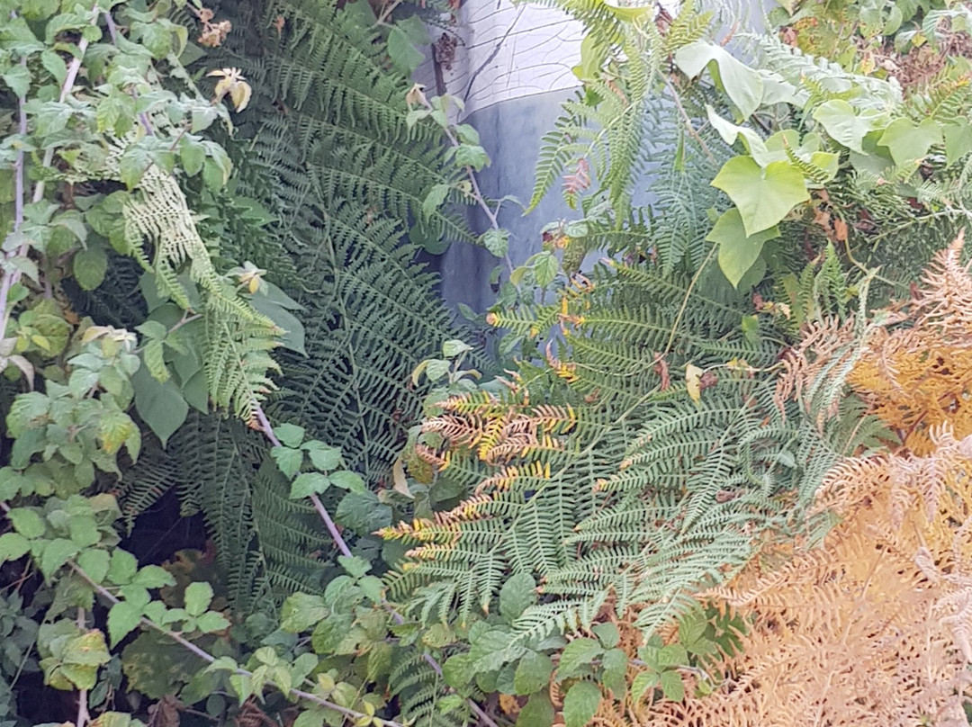 Astrakeri Beach-Astrakeri必去景点