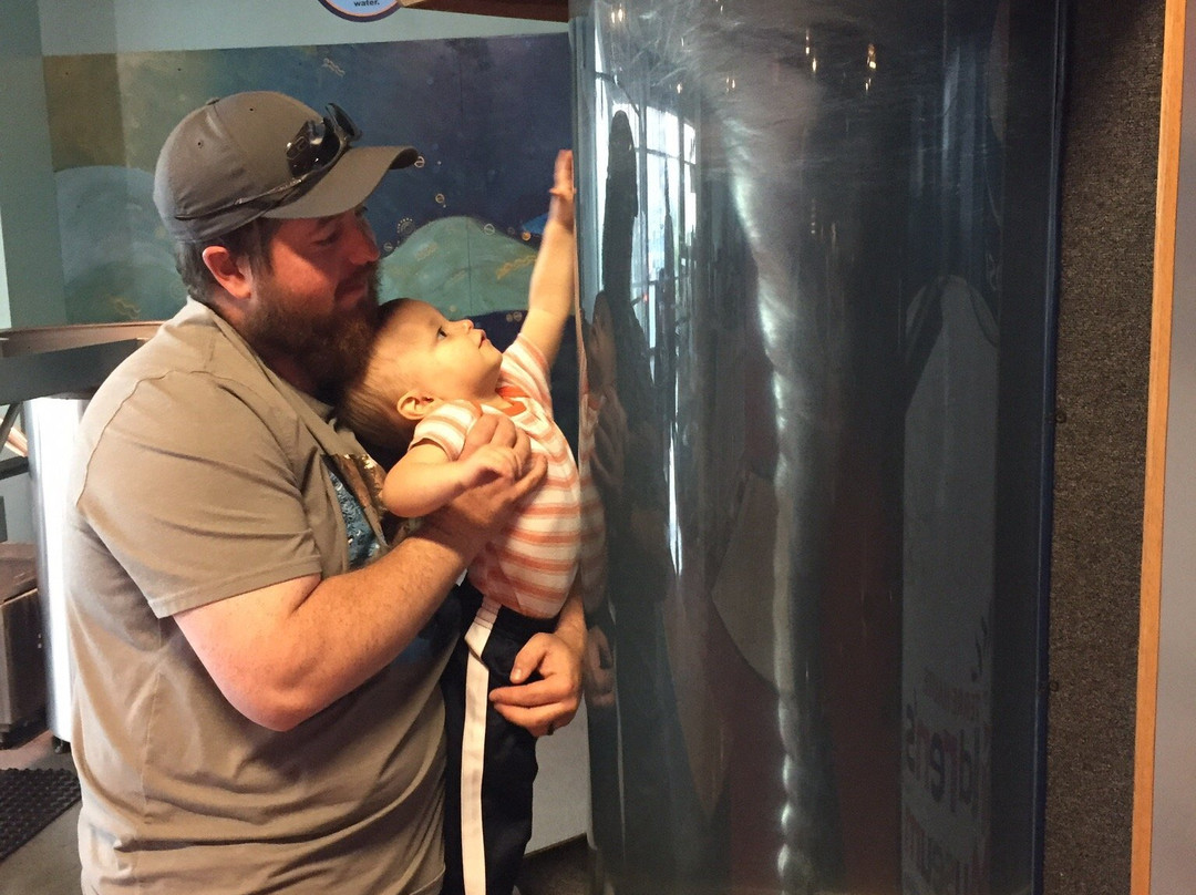 Terre Haute Childrens Museum-特雷霍特必去景点