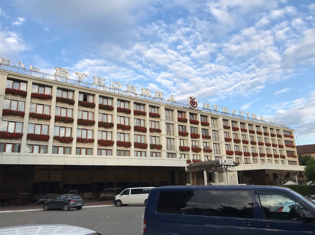 Bukovyna Hotel Complex主图