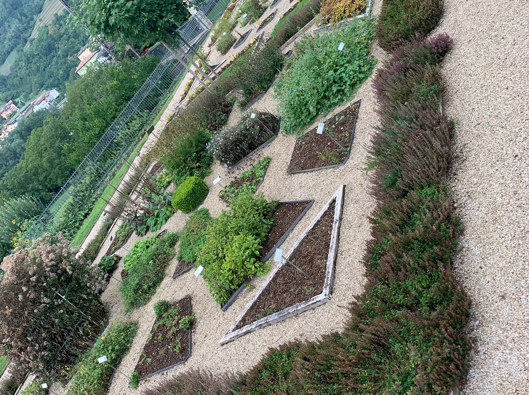 Giardino Botanico - Orto dei Semplici景点图片