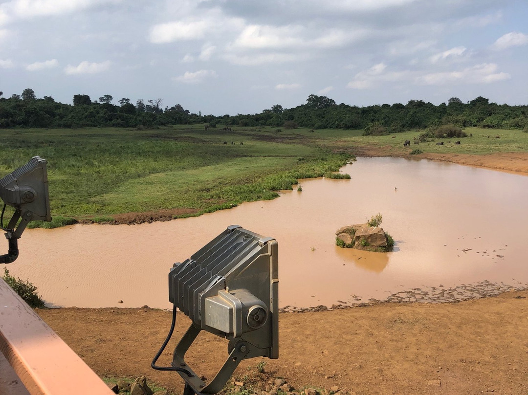 方舟山林小屋主图