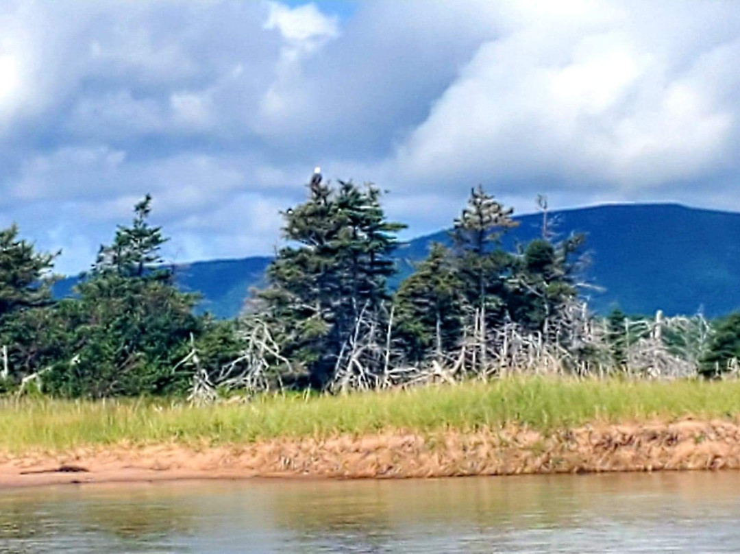 Cabot Trail Adventures-Dingwall必去景点