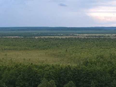 Susanino旅游攻略图片