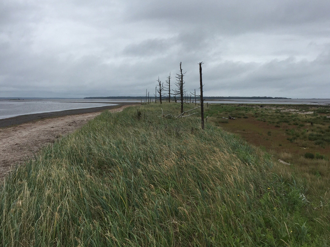 Todowara-别海町必去景点