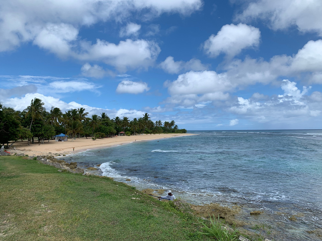 Ti Coin Paradis