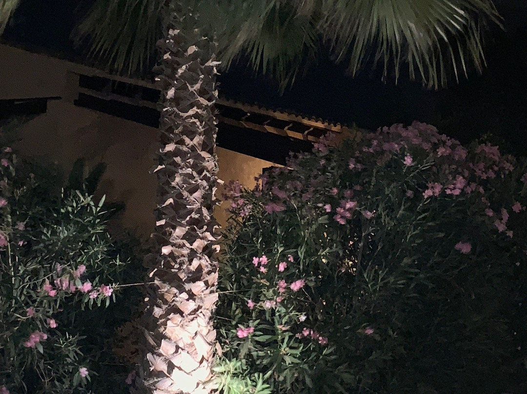 Hotel Es Lloquet - The Secret Place主图