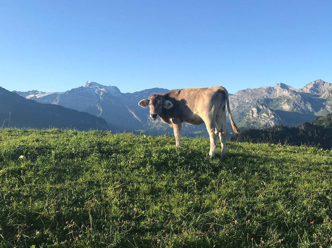 Wiesenberg旅游攻略图片