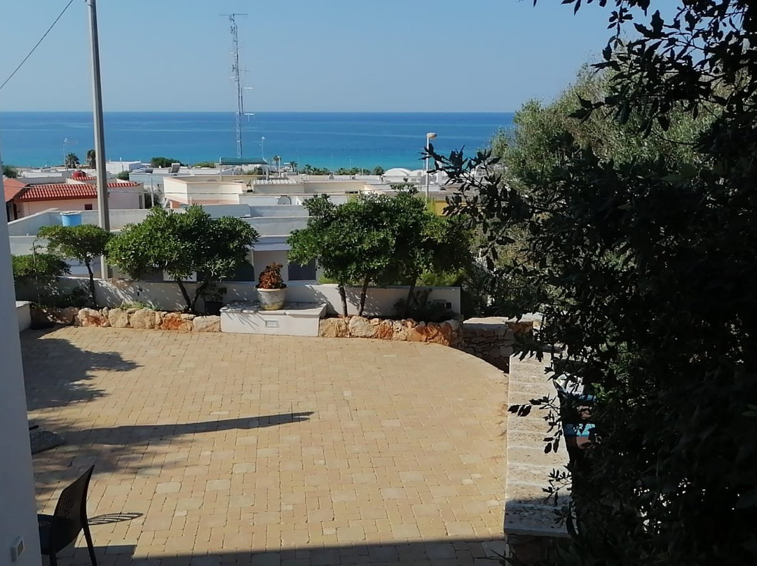 B&B Lu Cantoru主图