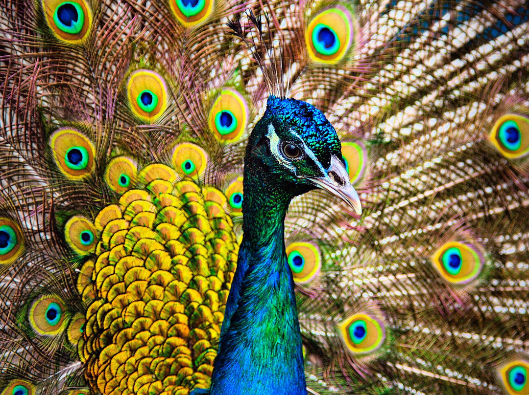 Samara Zoo-萨马拉必去景点