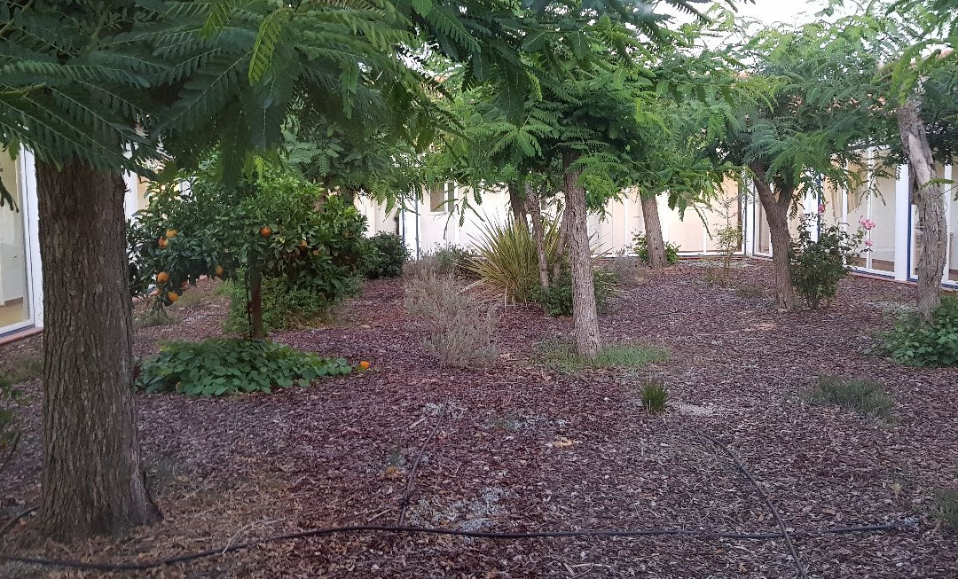 Hotel da Ameira主图