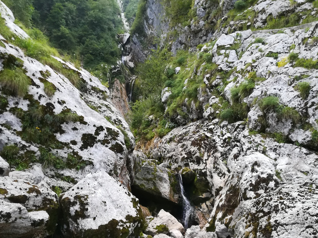 Parco Naturale Regionale delle Prealpi Giulie-Resia必去景点