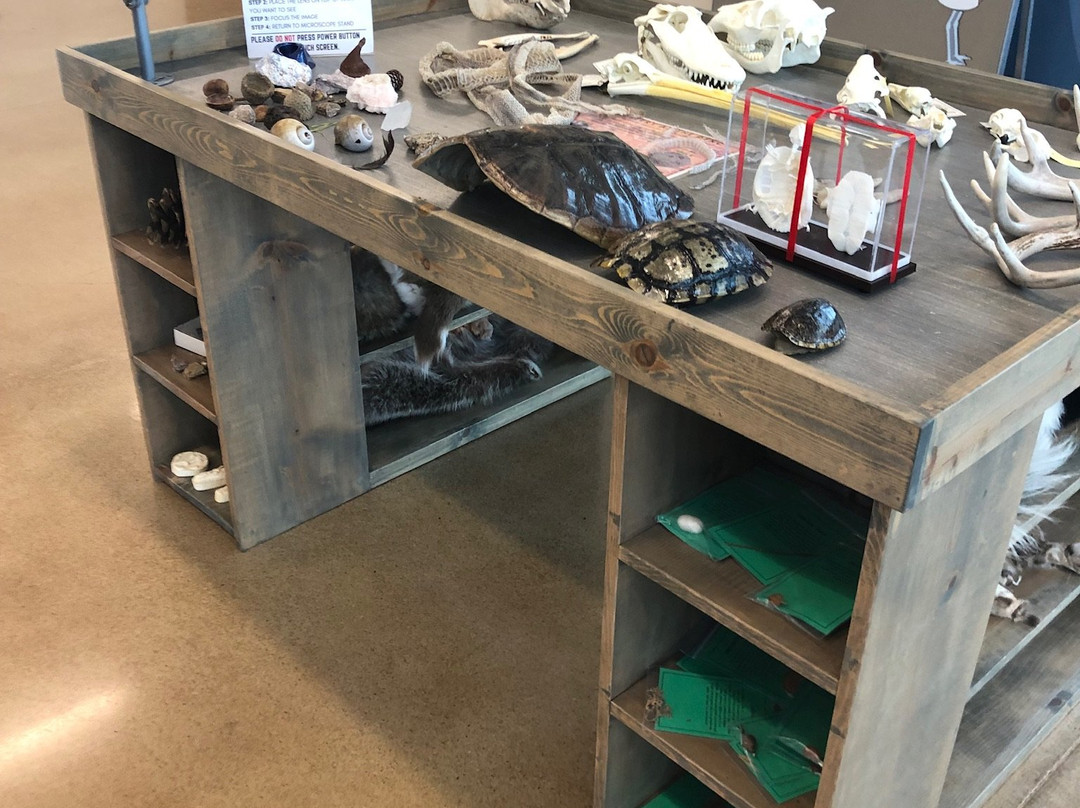 Delores Fenwick Nature Center-皮尔兰必去景点