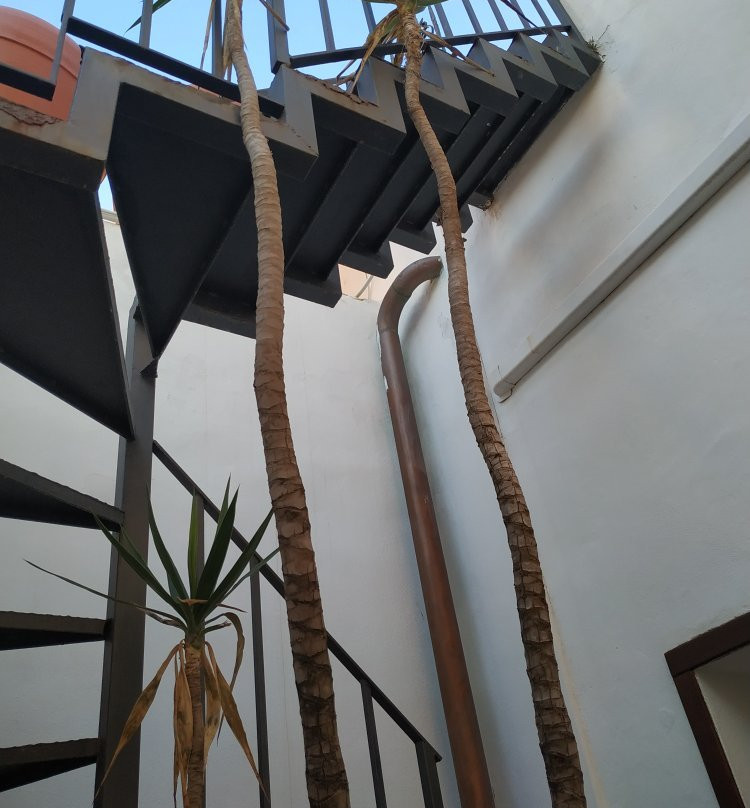 B&B l'Acanto di Ortigia主图