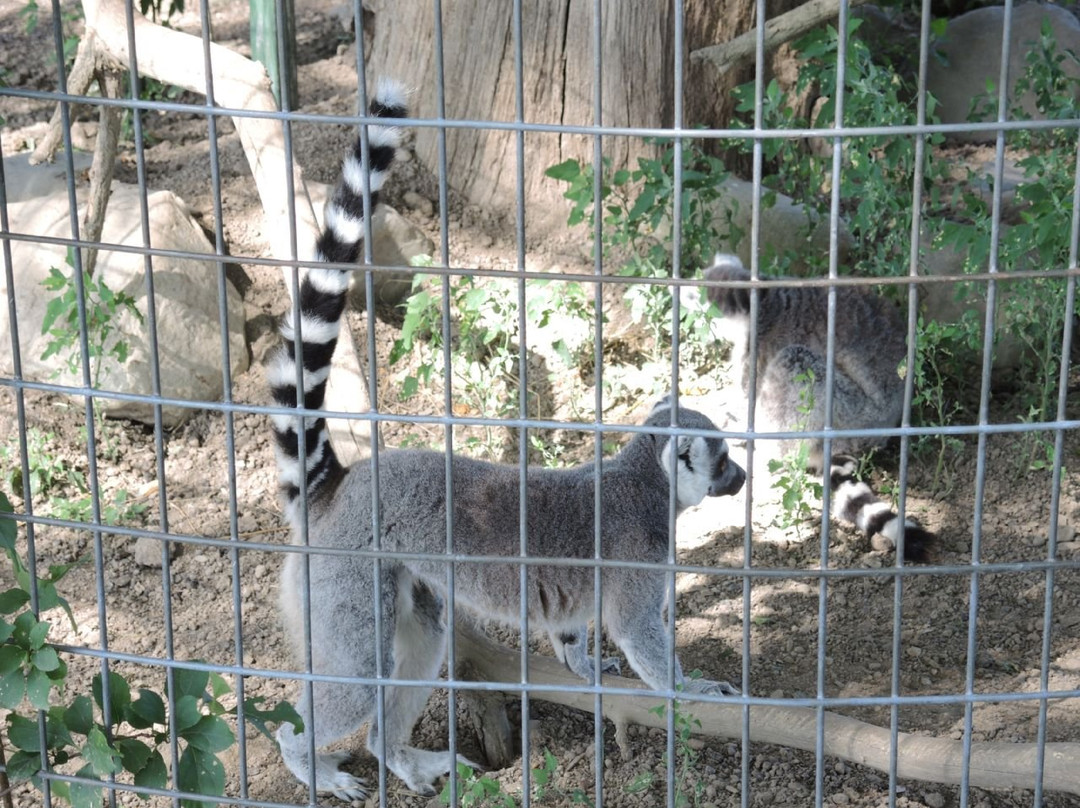 Space Farms Zoo & Museum景点图片