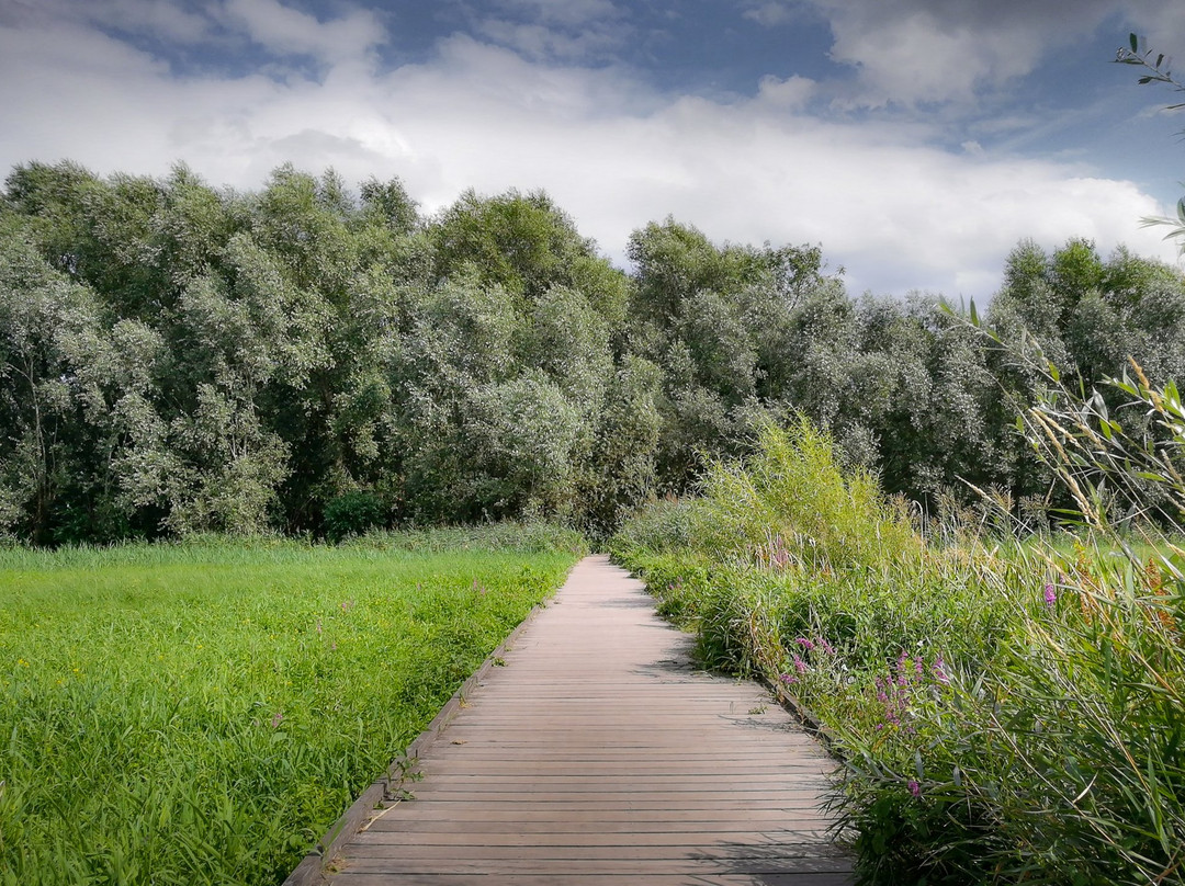 Bourgoyen-Ossemeersen Nature Reserve景点图片