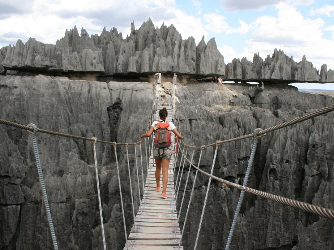 Baobab Travels景点图片