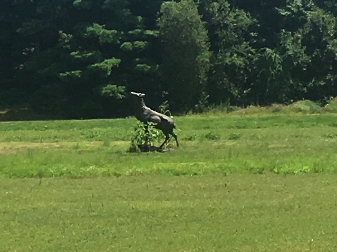 The Nature Trail And Cranberry Bog-福克斯伯勒必去景点
