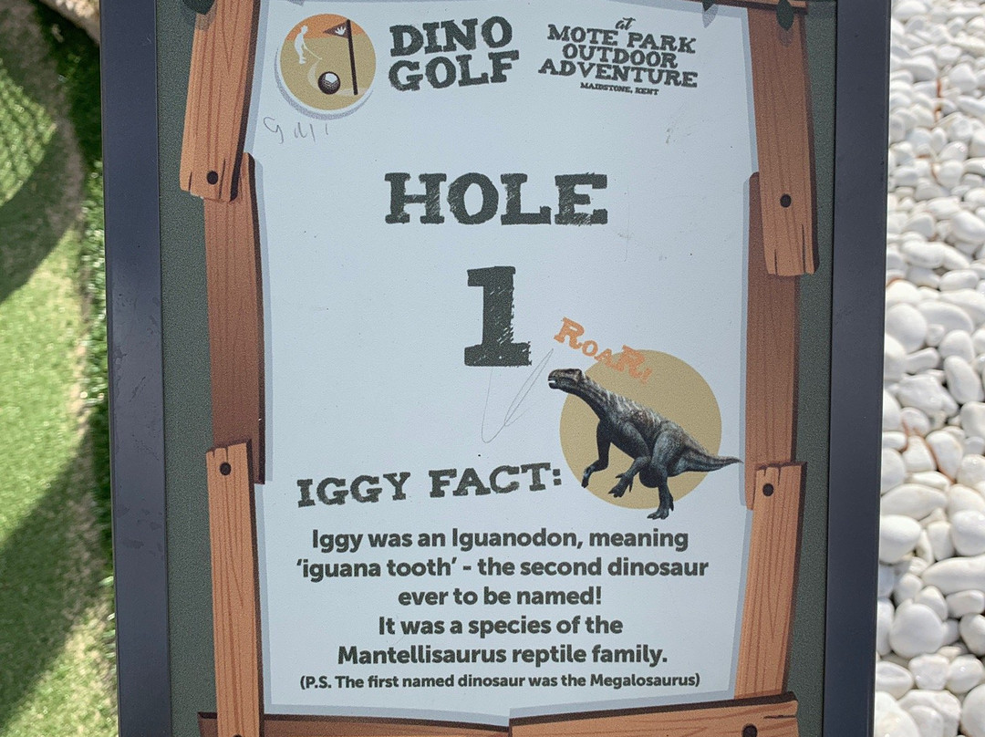 Mote Park Outdoor Adventure-梅德斯通必去景点