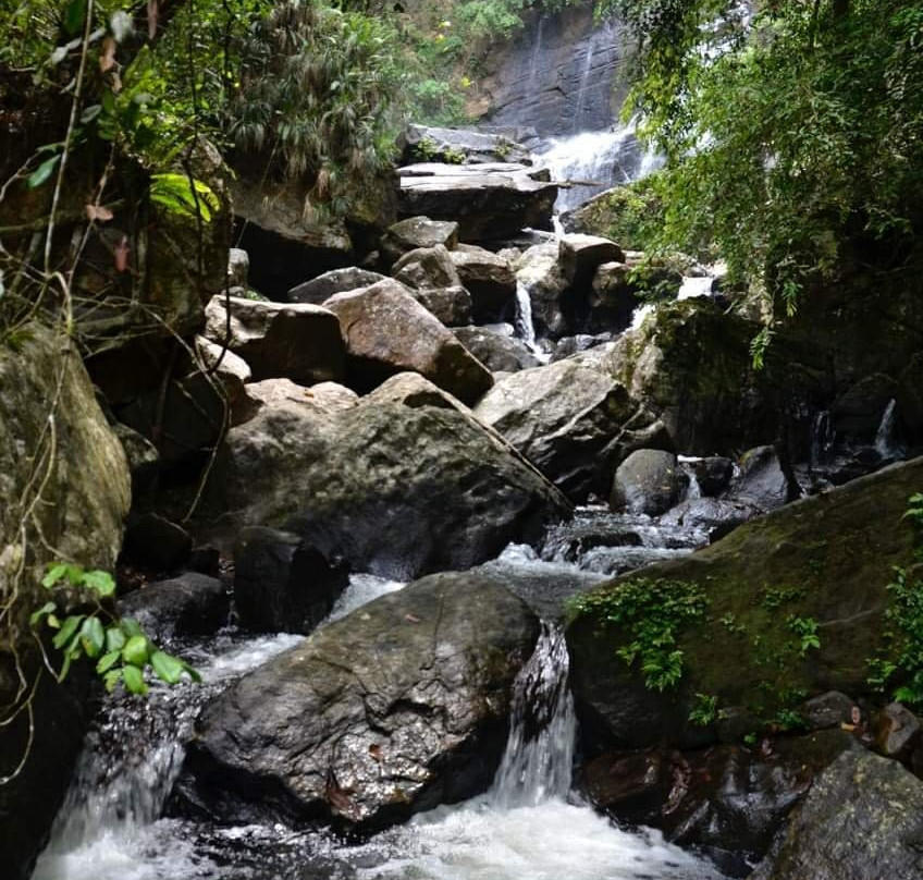 Explore Sinharaja Rain Forest Tour-Deniyaya必去景点