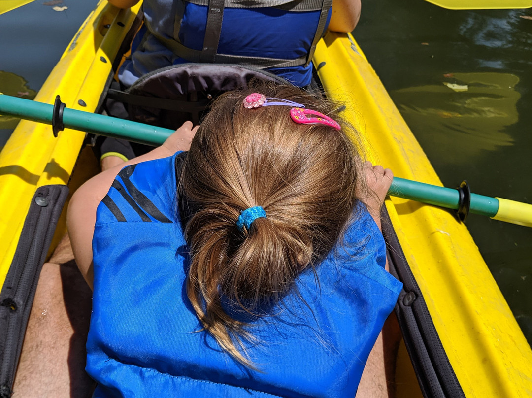 Day Trippin Adventures-Buckhannon必去景点