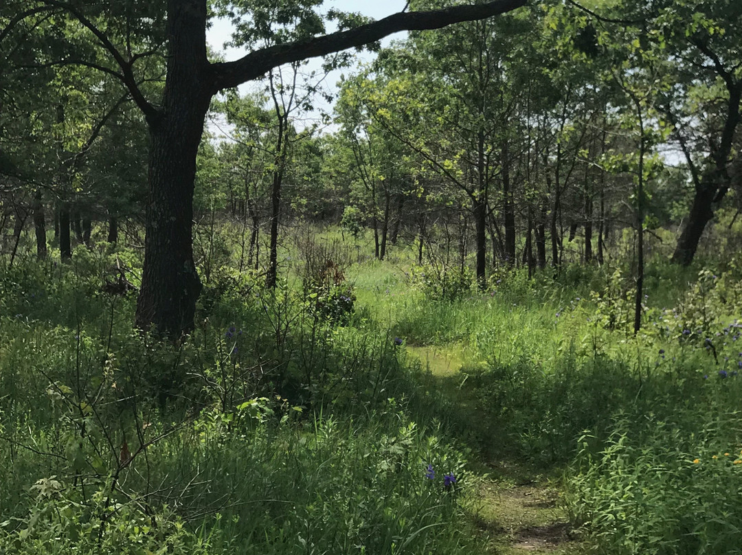 Illinois Beach State Park-Zion必去景点