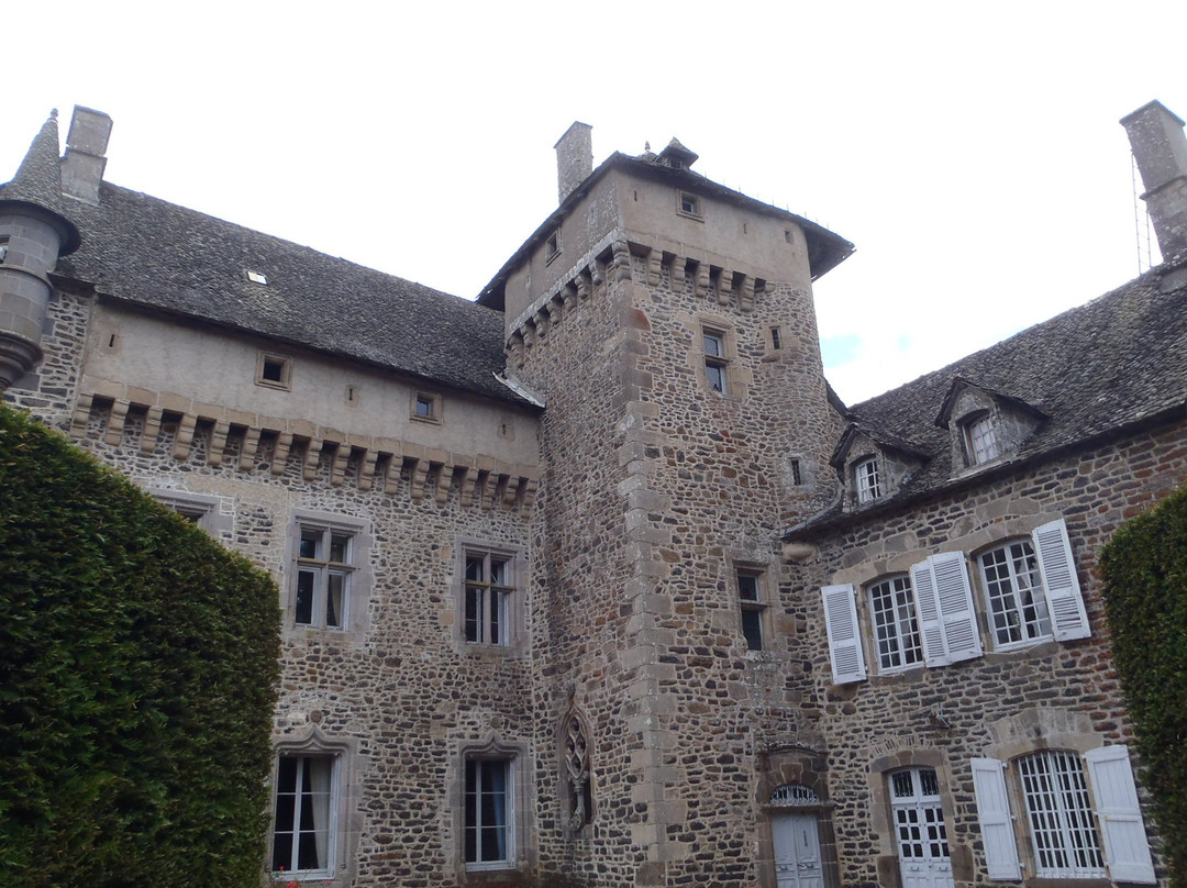 Chateau de La Vigne景点图片