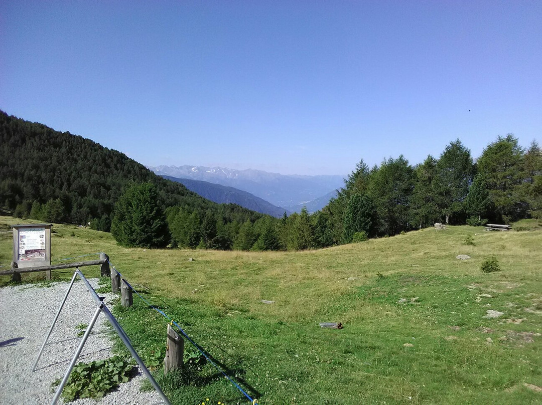 Passo del Mortirolo景点图片