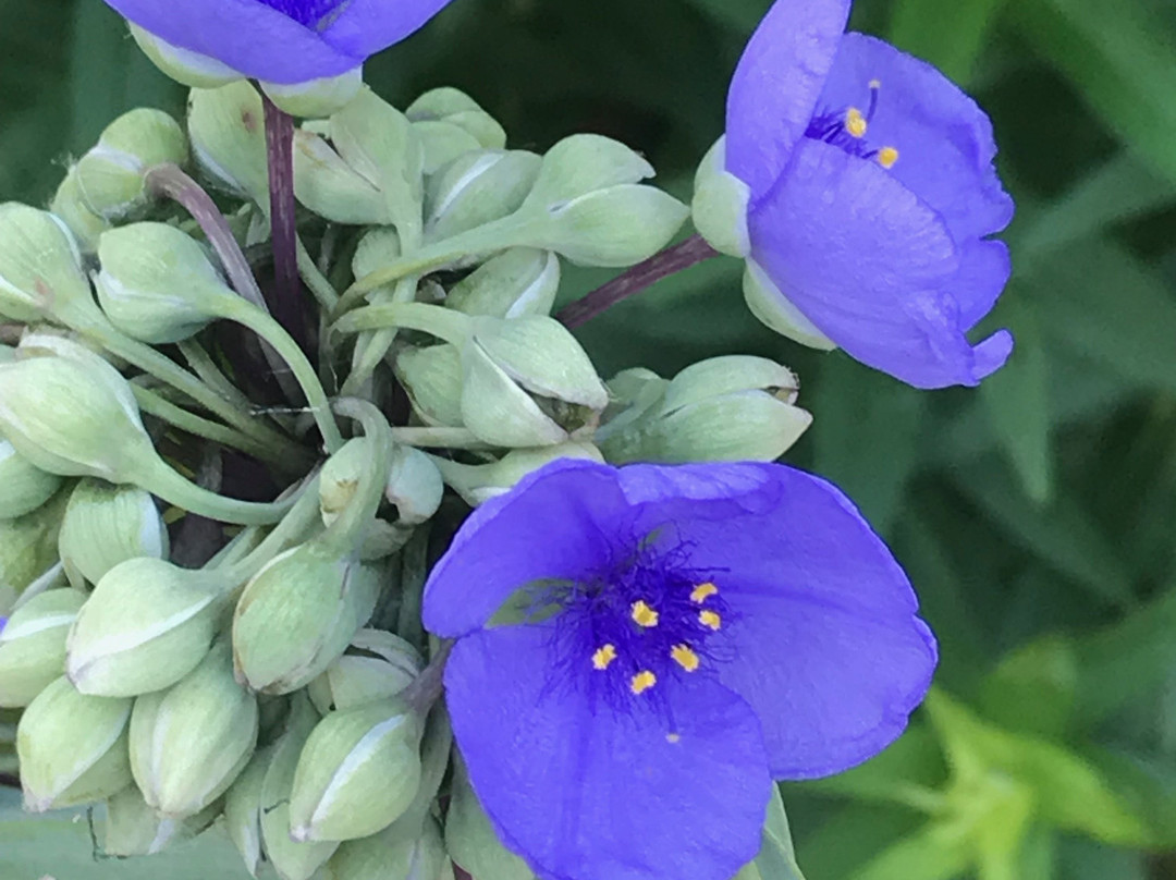 Volo Bog State Natural Area-Ingleside必去景点