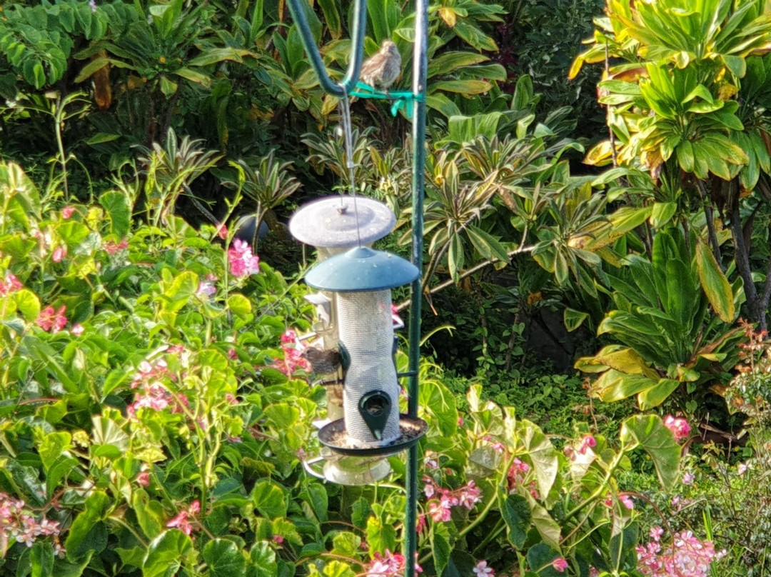 库克船长酒店住宿-贝尔奴考纳旅社