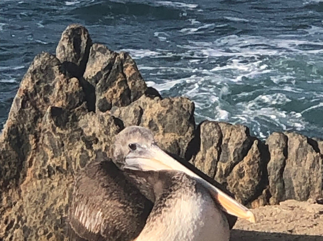 Playa Chica-Quintay必去景点