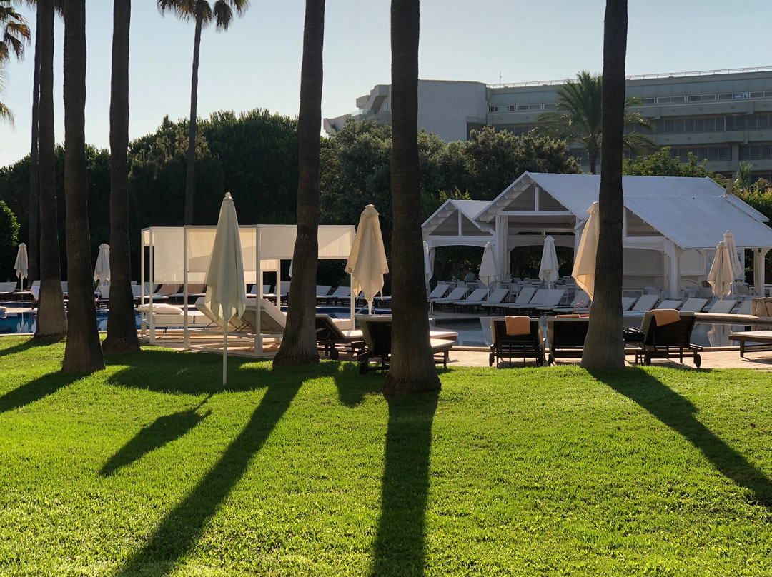 CM Mallorca Palace主图