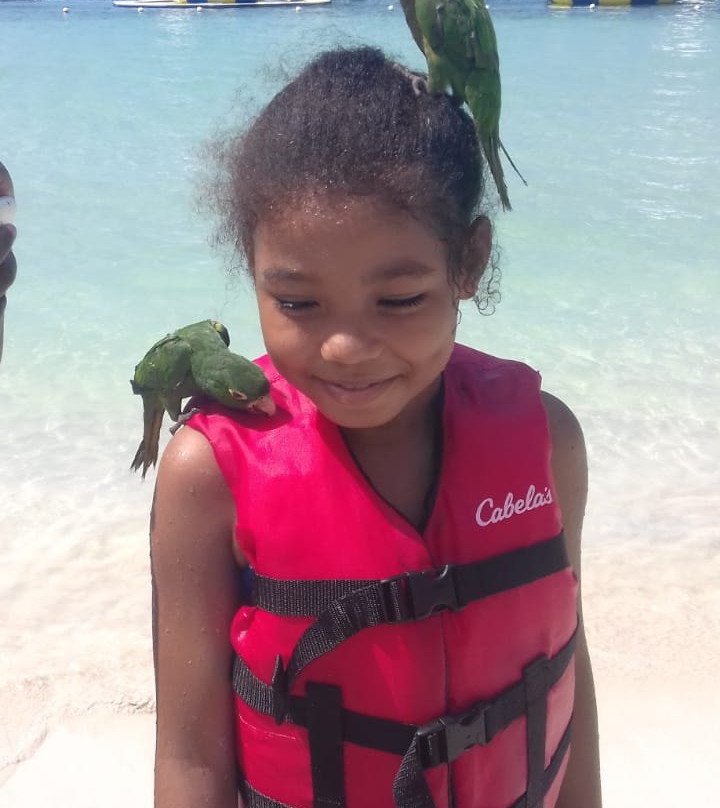 The Boardwalk Village主图