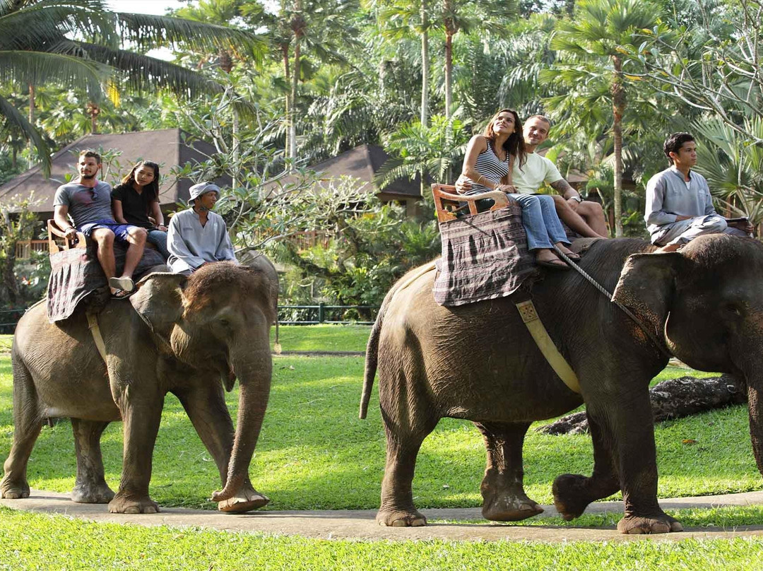 Dana Local Bali Driver-乌布必去景点