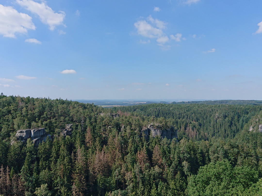 Hohnstein Castle-Hohnstein必去景点