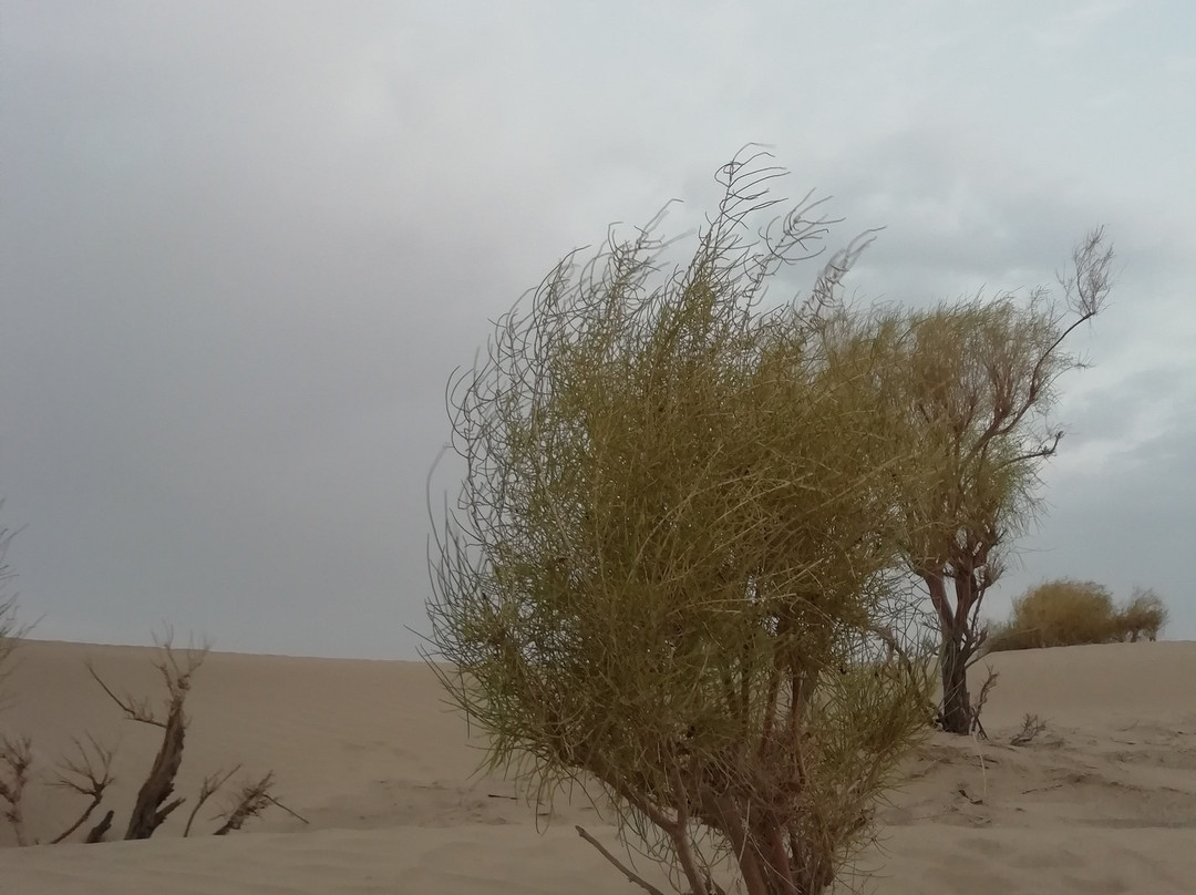 Khara Desert景点图片