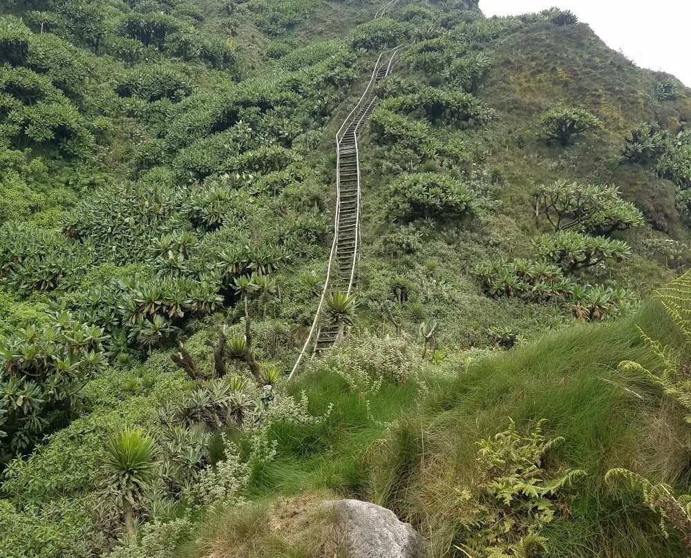 Mount Sabinyo景点图片