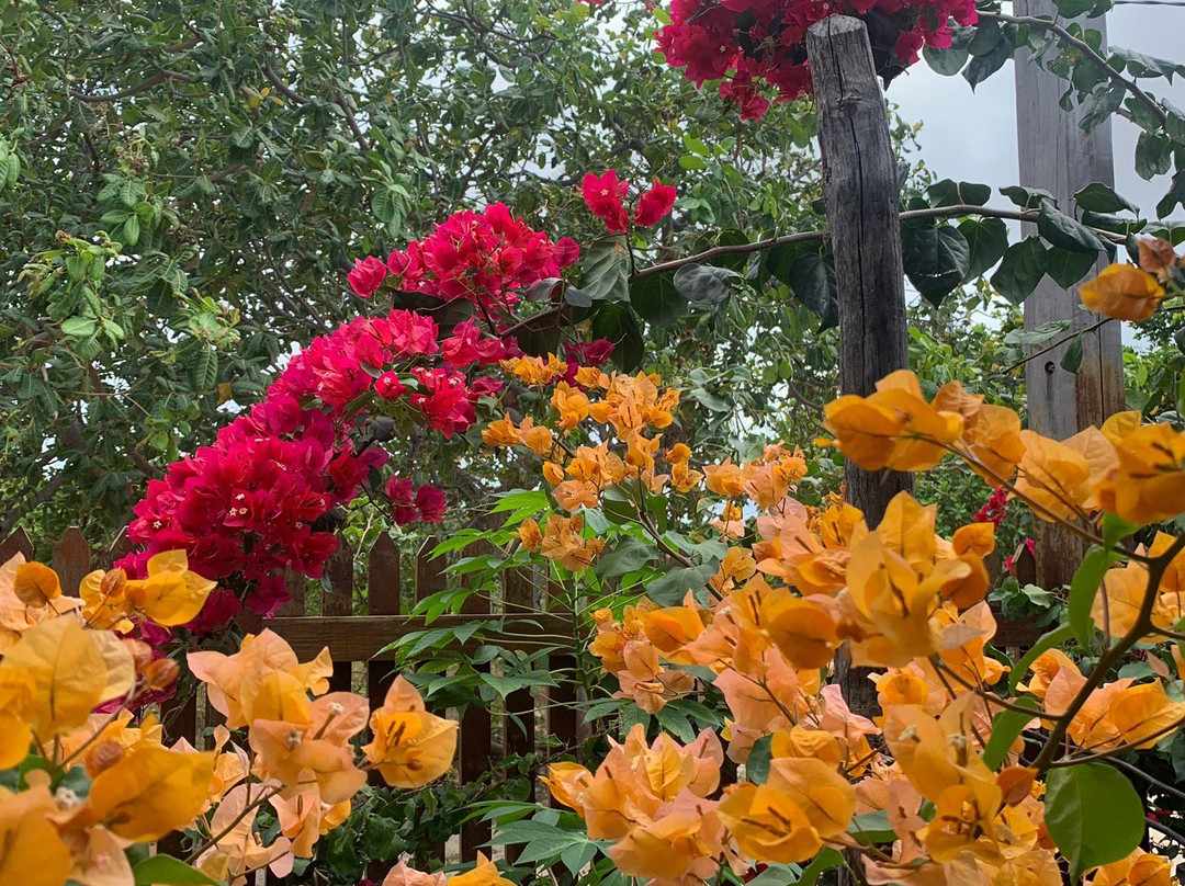 Estrela dos Lencois主图