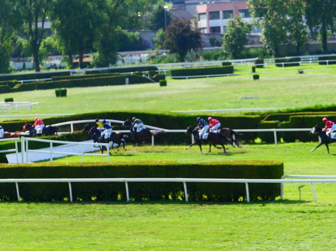 Merano Racecourse景点图片