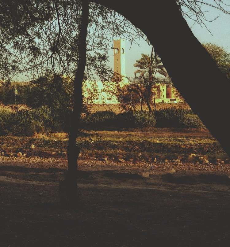 Wadi Hanifa-利雅德必去景点