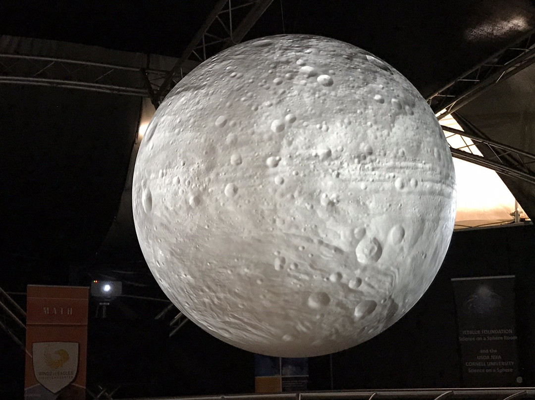 Wings Of Eagles Discovery Center-Horseheads必去景点