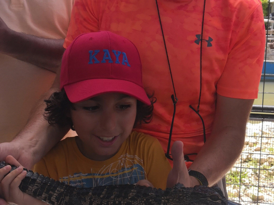 大沼泽地鳄鱼场-霍姆斯特德必去景点
