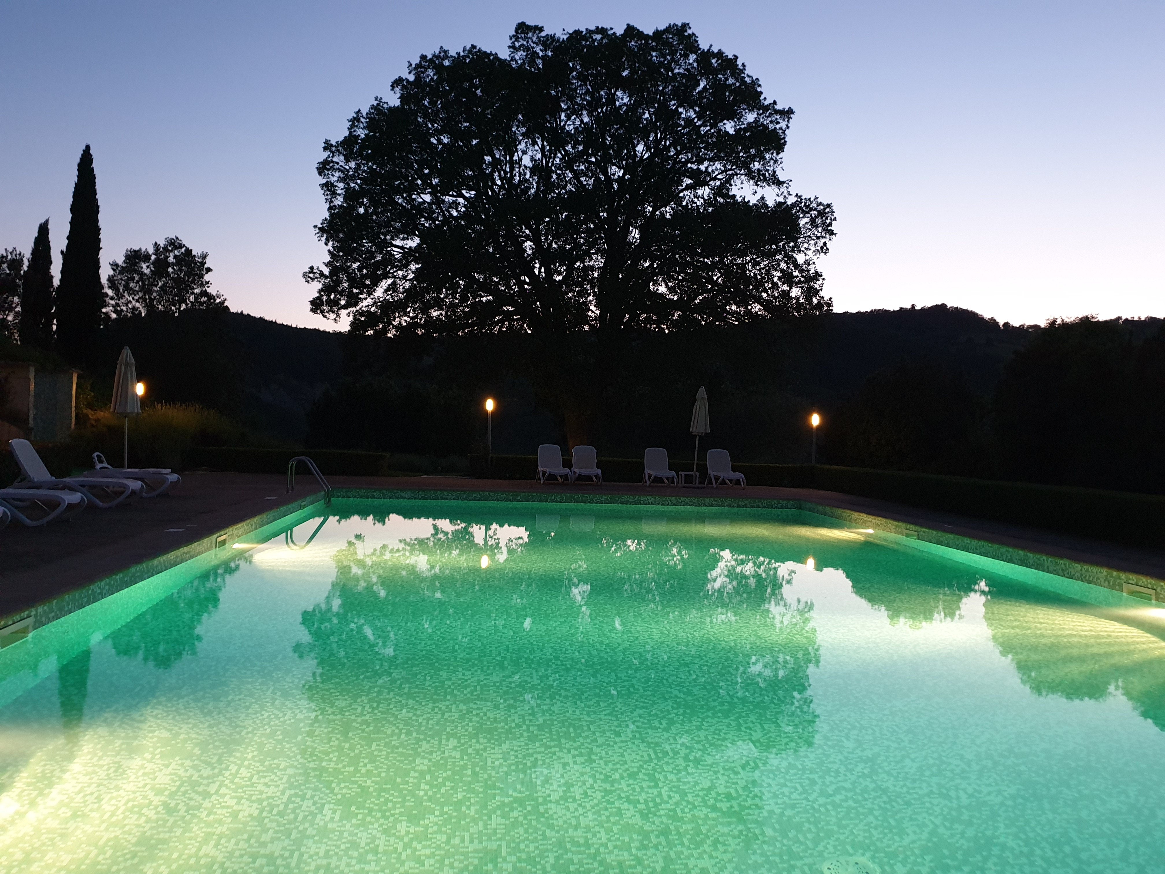 Le Vignole Country House-泳池