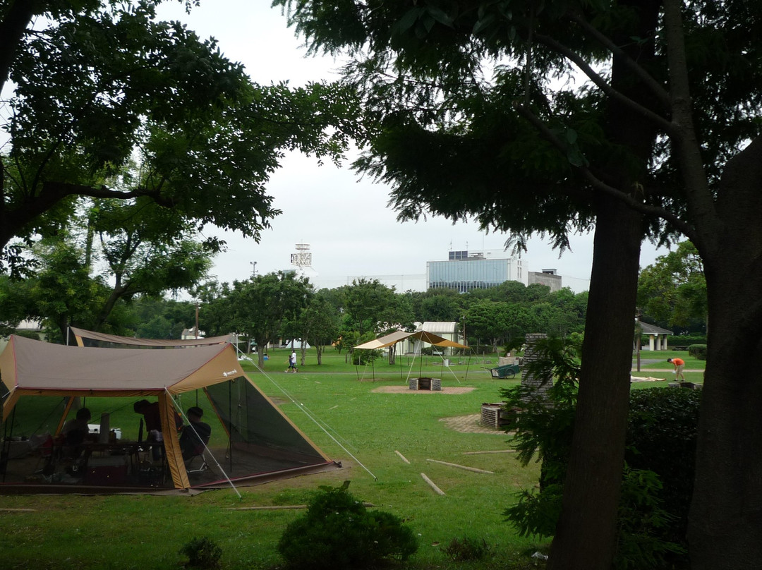 Wakasu Kaihin Park-江东区必去景点
