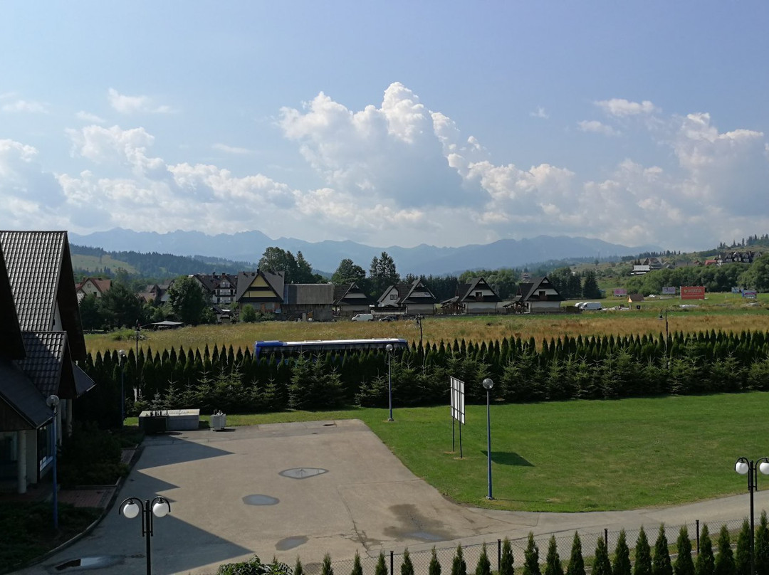 Borowy Dwor - Business, Spa & Fun主图