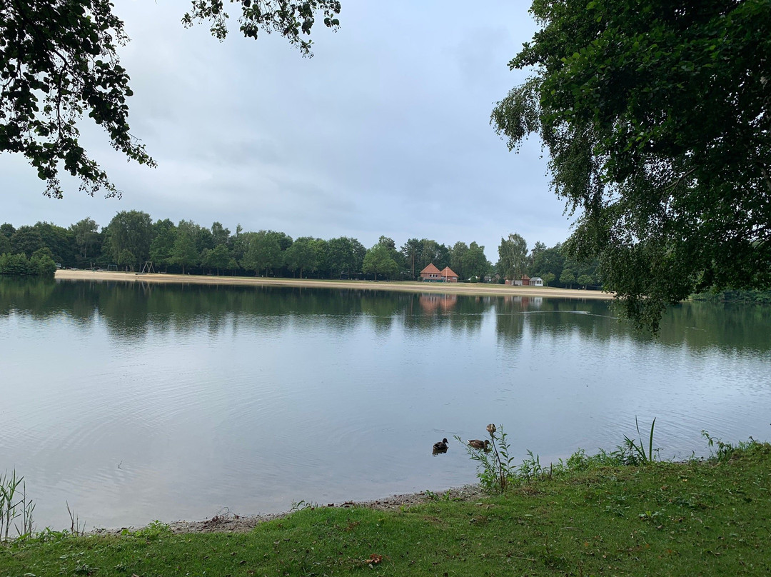 Hotel Restaurant Driland主图