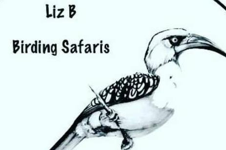 Liz B birding Safari-Iringa必去景点
