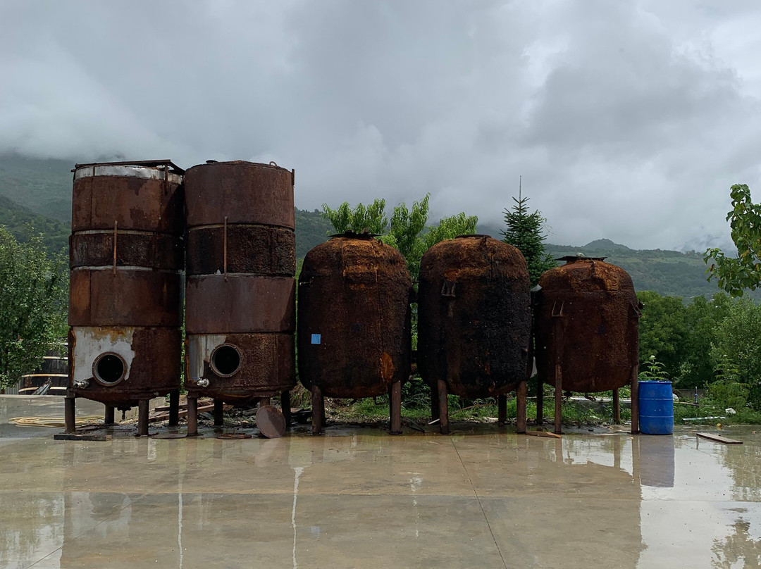 Winery Bugeuli景点图片